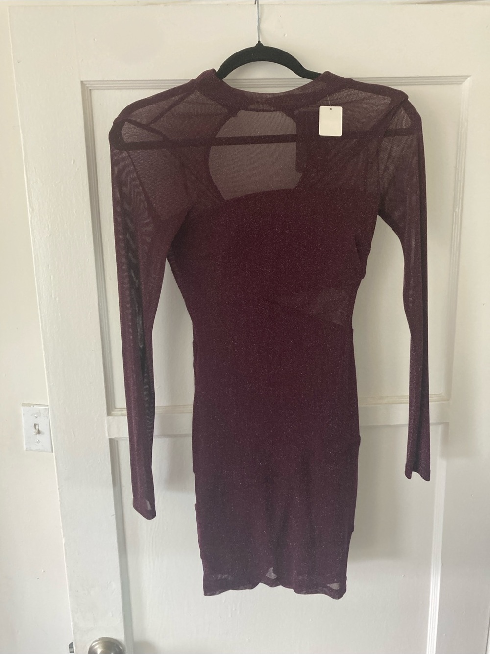 privy Sheer Long-Sleeve Bodycon Mini Dress in Burgundy